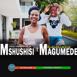 IZINDABA ZABANTU (feat. MAGUMEDE)