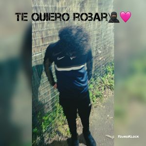 Te Quiero Robar