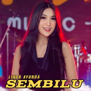 Sembilu