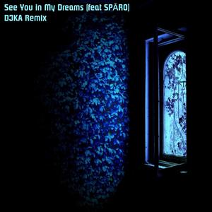 See You in My Dreams (feat. SPĀRO) (DJKA Remix)