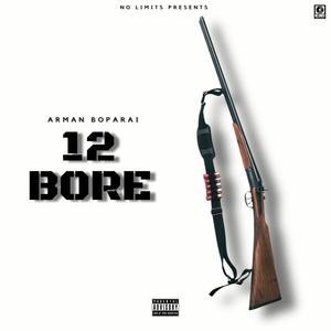 12 BORE (Explicit)