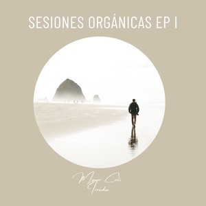 Sesiones Organicas EP I