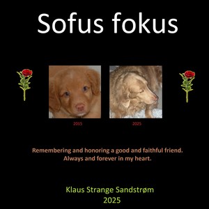 Sofus fokus (Instrumental Version)
