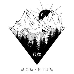 MOMENTUM (Explicit)