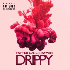 Drippy (feat. Jayvan) [Explicit]