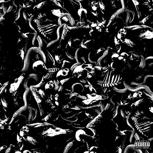 im wit it (Explicit)