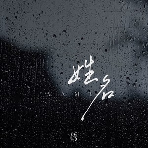 姓名 (猎人DJ轩仔版)