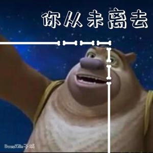 你从未离去 bootleg