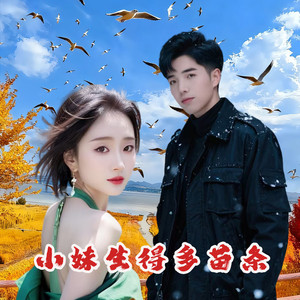 小妹生得多苗条 (伴奏)