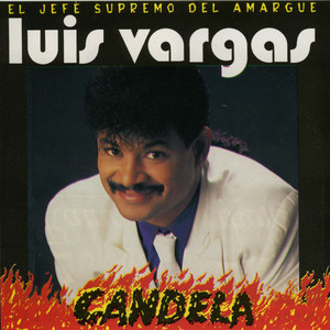 El gato