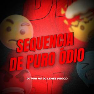 SEQUENCIA DE PURO ÓDIO (feat. DJ VINI MS) [Explicit]