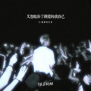 又想起你了亲爱的我自己 (DJ旋律回忆录)