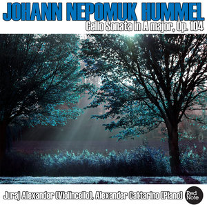 Cello Sonata in A major, Op. 104: III. Rondo: Allegro un poco vivace