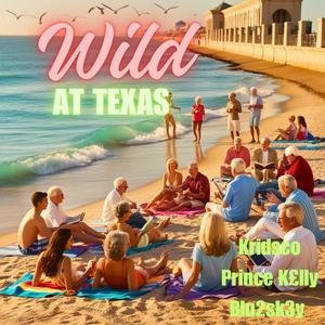 Wild At Texas (feat. Prince K£LLY & Blu2sk3y)