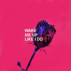Wake Me Up Like I Do (Arkis Mashup)