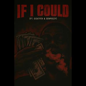 If I could (feat. Goatfev & Senpeezy) (Explicit)