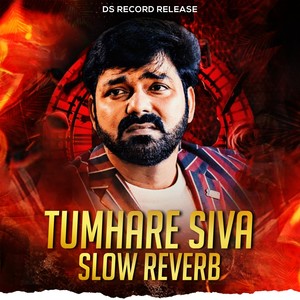 Tumhare Siva