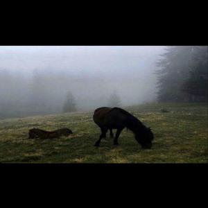 wrong (feat. requiem for you)