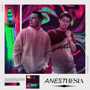 ANESTHESIA