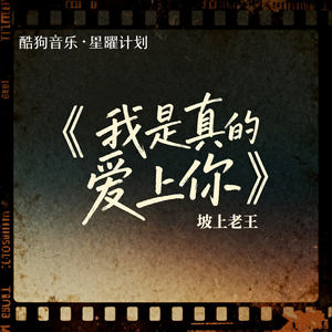 坡上老王 - 我是真的爱上你 (DJ版)