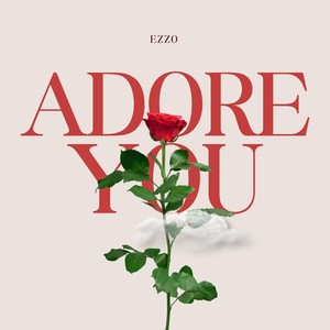 Adore You