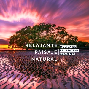 relajante paisaje natural