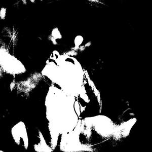 two tone (feat. teaz) (Explicit)