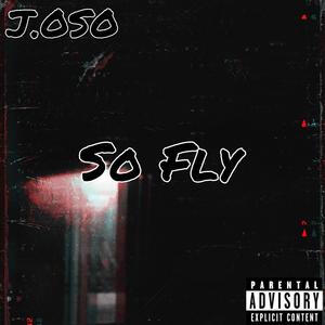 SO FLY (Explicit)