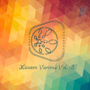 Kanzen Various Volume 3 (Explicit)