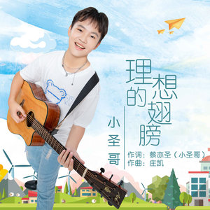 理想的翅膀