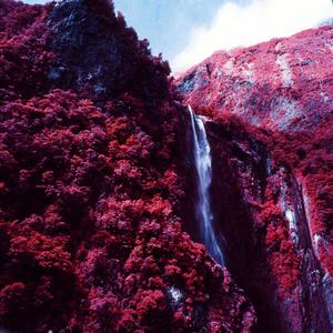 Dark Arts (Explicit)