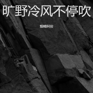 在意你的话-烟嗓阿俊