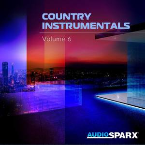 Country Instrumentals Volume 6