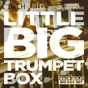 Little Big Trumpet Box
