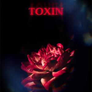 Toxin (feat. 7tean) (Explicit)