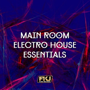 Main Room Electro House Essentials