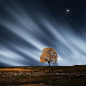 Guided Sleep Song