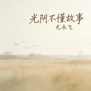 光阴不懂故事 (伴奏)