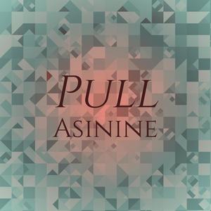 Pull Asinine