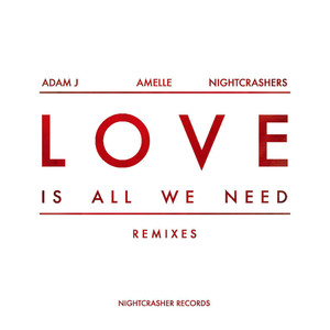 Love (Is All We Need) (Modified Motion & Faction Remix)