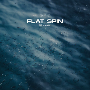 Flat Spin