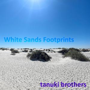 White Sands Footprints