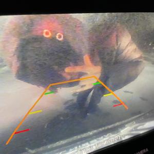 Satrn - 10yrs (Explicit)