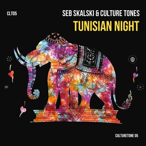 Tunisian Night