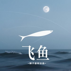 飞鱼 (伴奏)封面