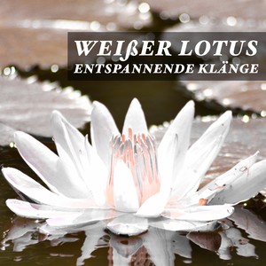 Weißer Lotus - Entspannende Klänge mit Weißem Rauschen und Geräusche aus der Natur