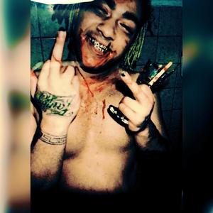 WILDLIFE (Explicit)