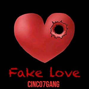 Fake Love(Single) (Explicit)