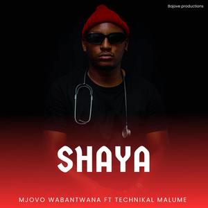 Shaya (feat. Technikal Malume)