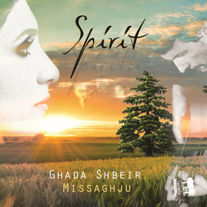 SPIRIT (Explicit)